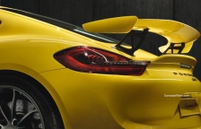 Smoked GT4 Tail Lights